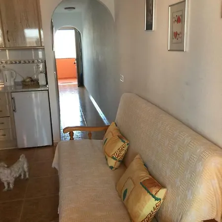 Apartamento Con Piscina En Appartement *